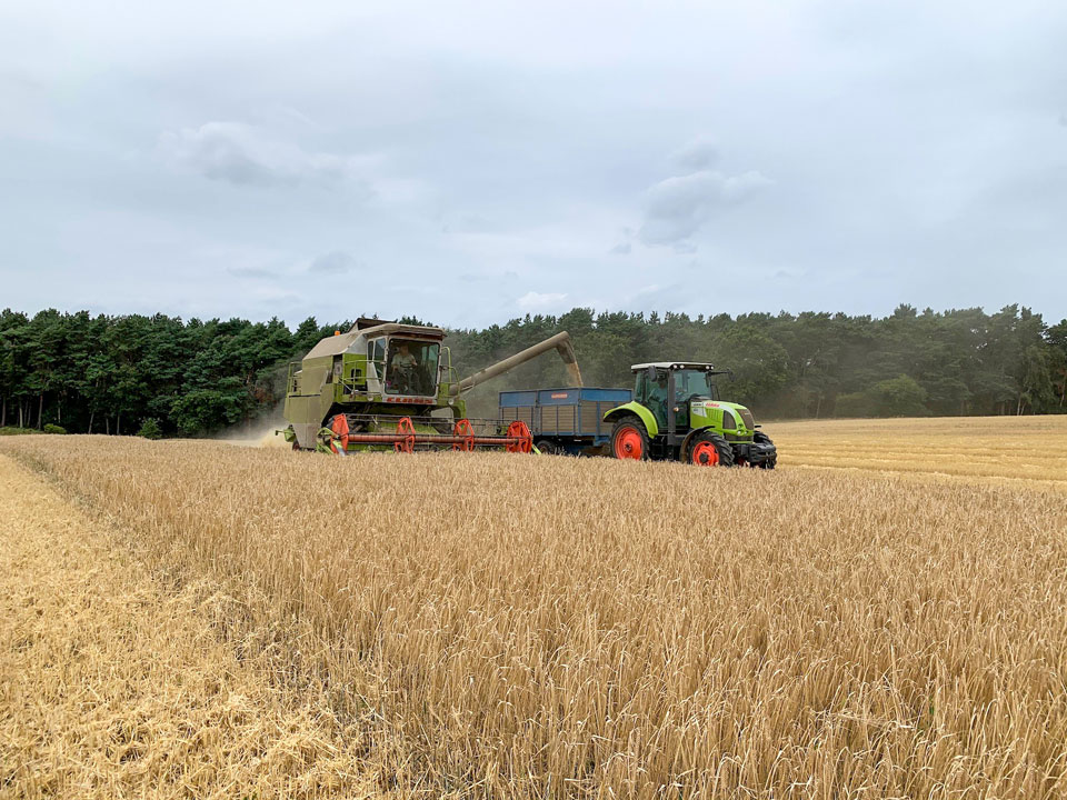 Harvesting