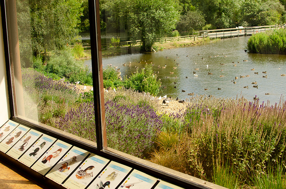 Pensthorpe Natural Park